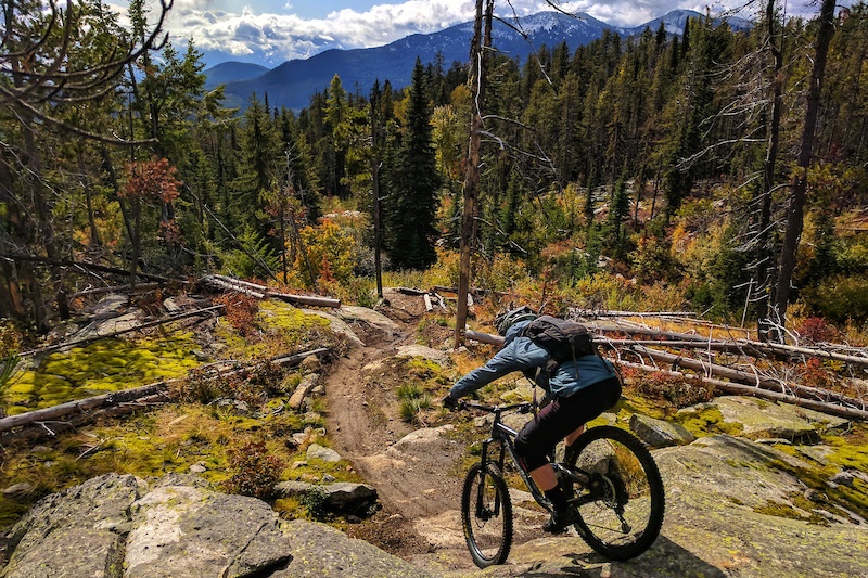 4 Reasons Why You Should Be A Fan Of Flow Trails for Mountain