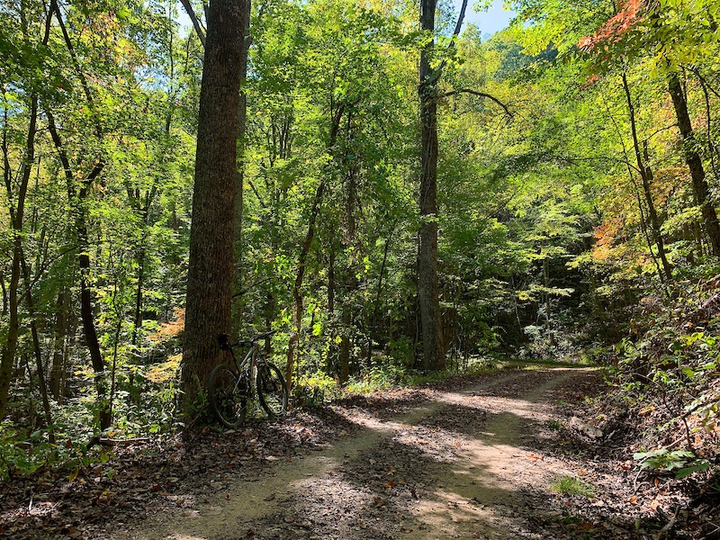 boyd lake bike trail