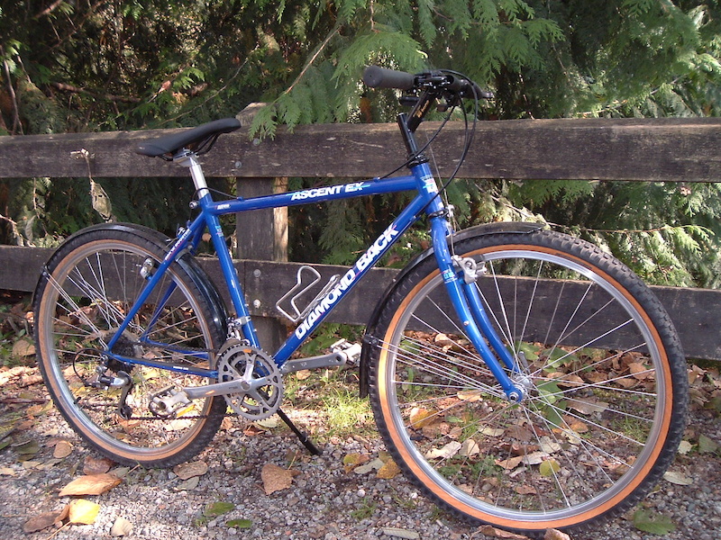 diamondback ascent ex 1987