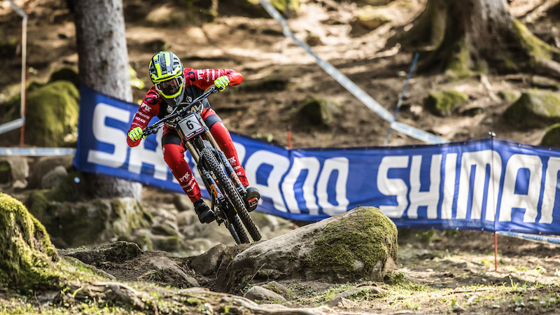 greg minnaar honda