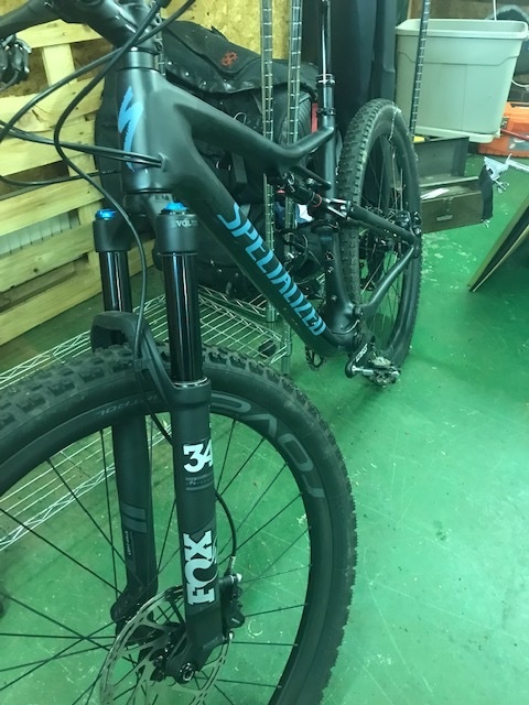 specialized expert evo 2019