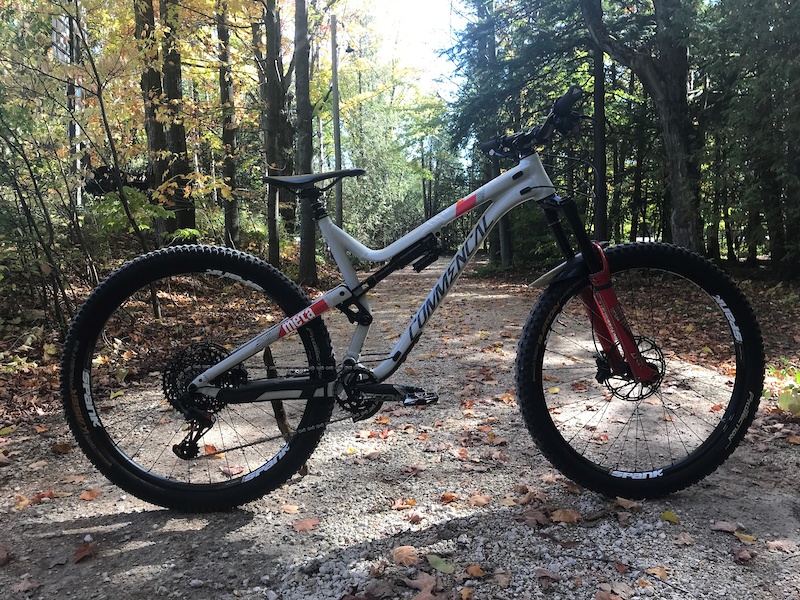 meta am 29 ride 2019