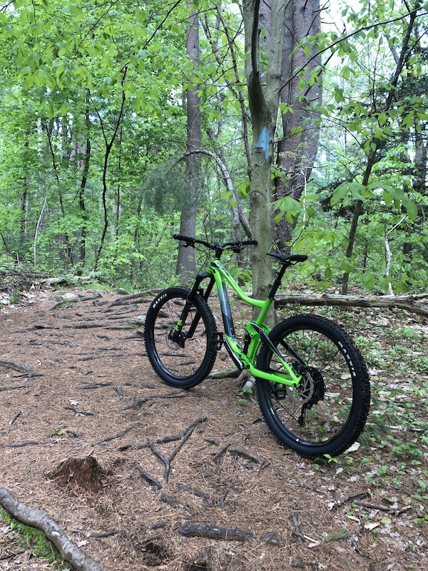 giant trance 2 2019 for sale