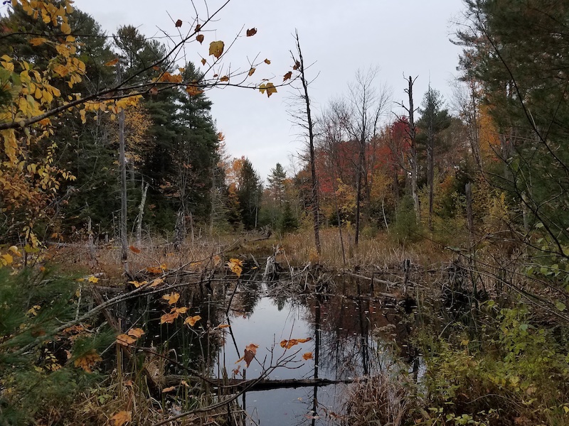 SnoMo Mountain Biking Trail - Hallowell, Maine