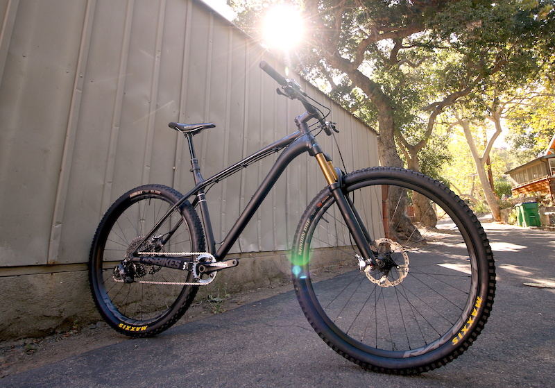 ns bikes eccentric evo 29