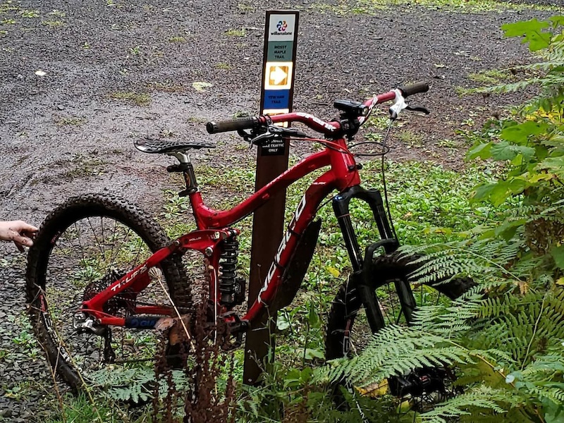 Thurston Hills Natural Area, Springfield Mountain Biking Trails Trailforks