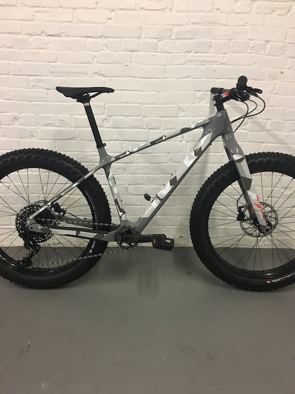 2019 specialized fatboy comp carbon