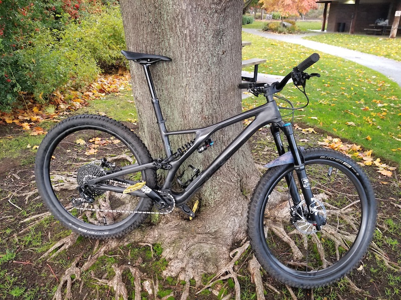 stumpjumper evo pro 2020