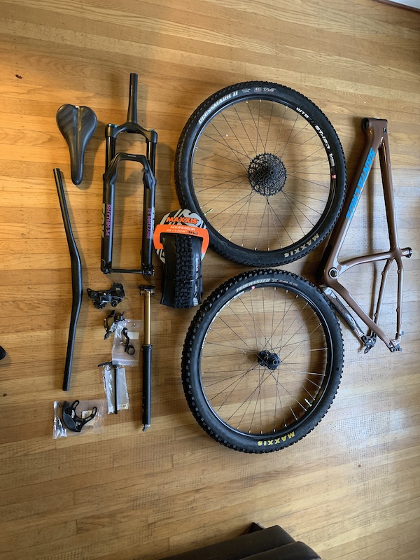 chameleon frame santa cruz