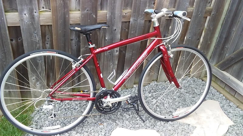specialized vita medium frame size
