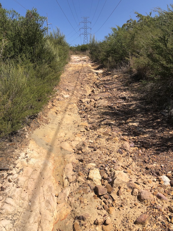 Burns Road Trail Mountain Biking Trail Heathcote NSW