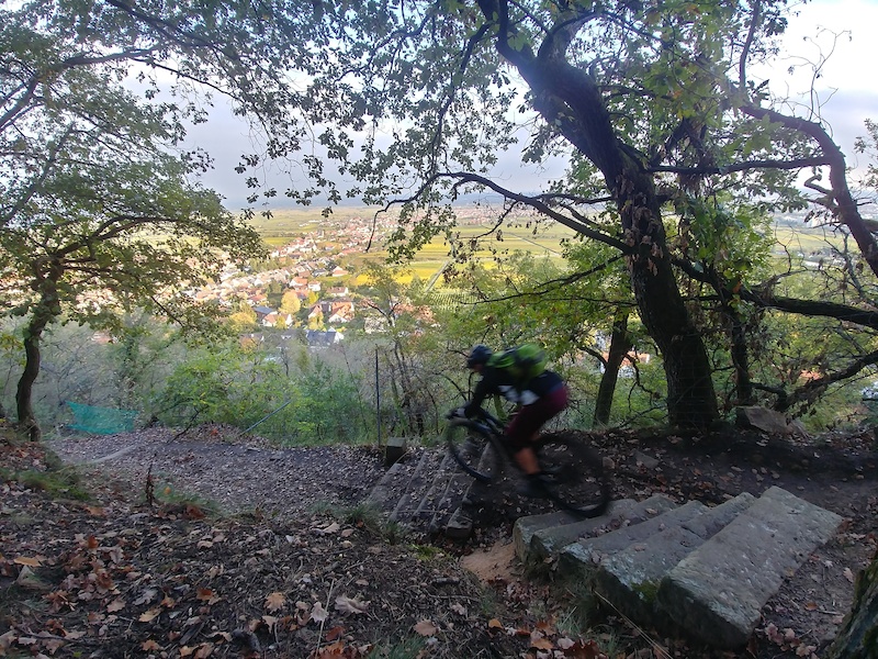 fahrrad ziele neustadt an der weinstraße