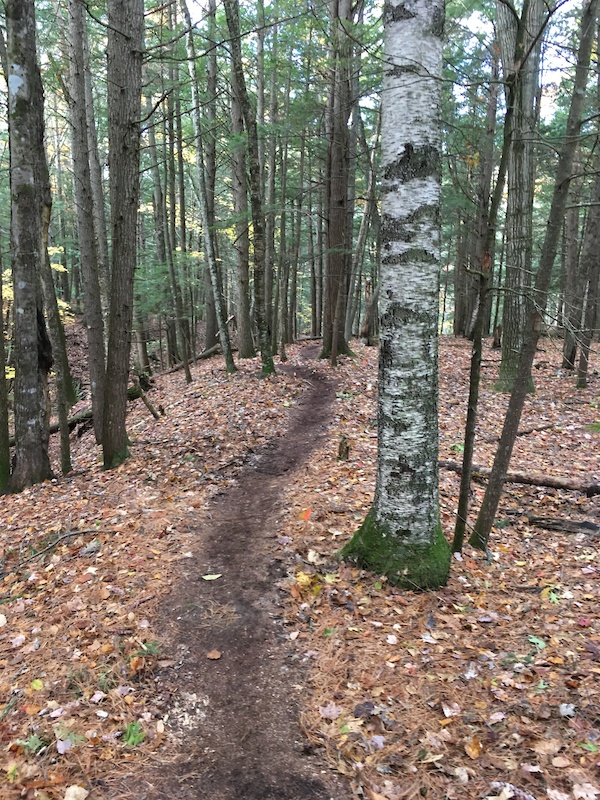 Rust Bucket Mountain Biking Trail Gorham, Maine