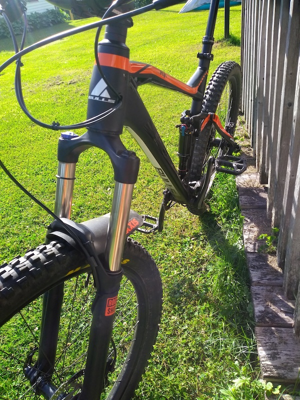 fahrrad bulls wild cup 2