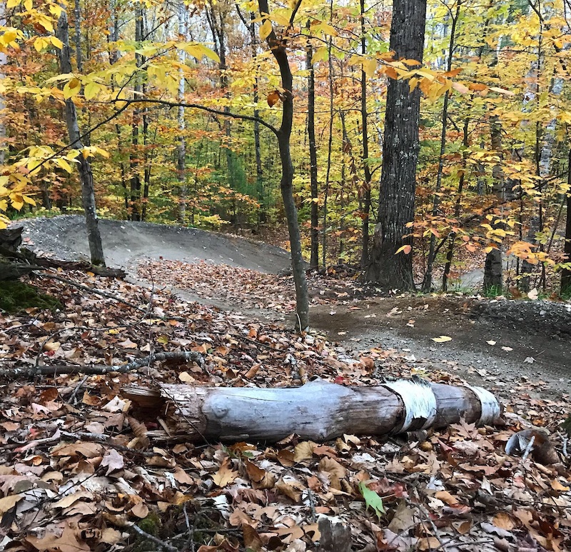 Flow Creek Mountain Biking Trail Falmouth, Maine
