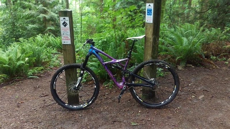 2014 Specialized Enduro S-Works TLD Edition (LARGE, 29