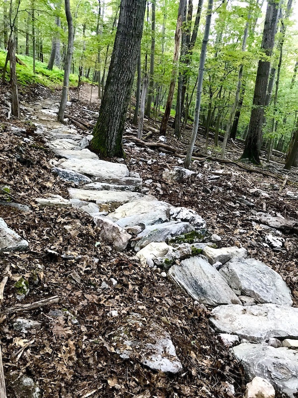 The Nose Mountain Biking Trail - Frederick, MD