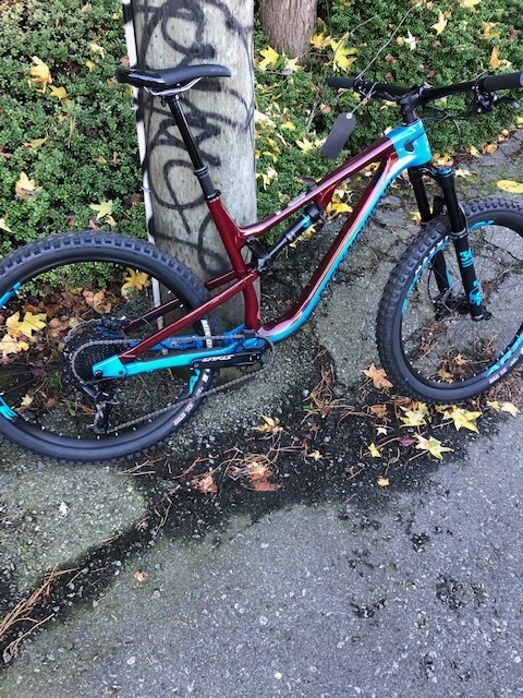 2019 Rocky Mountain Pipeline C50 For Sale