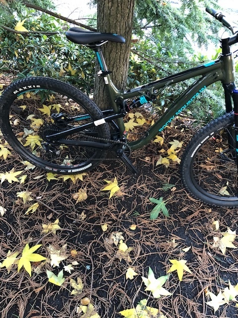 2018 rocky mountain thunderbolt a10