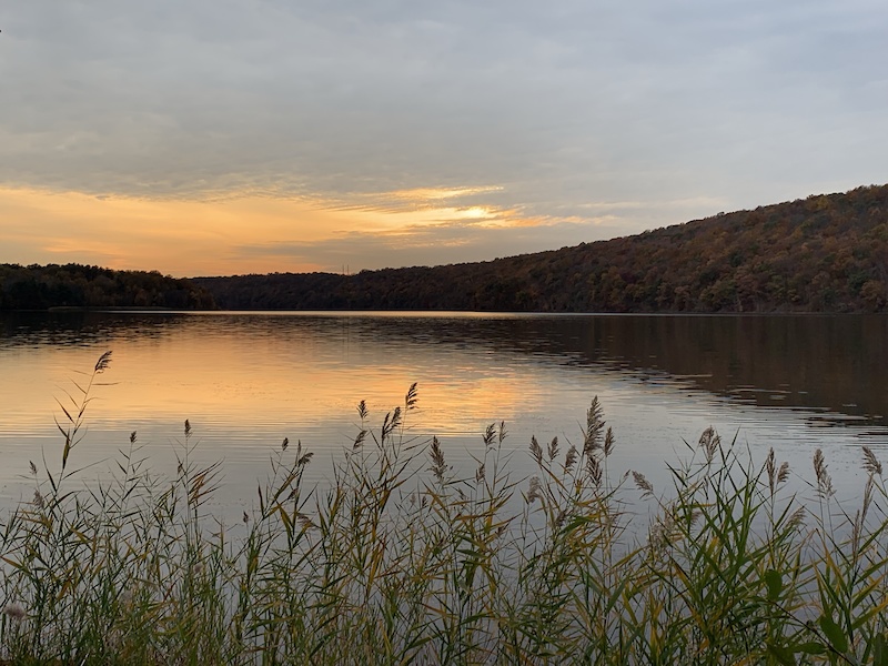 Lake Saltonstall, Branford Mountain Biking Trails Trailforks