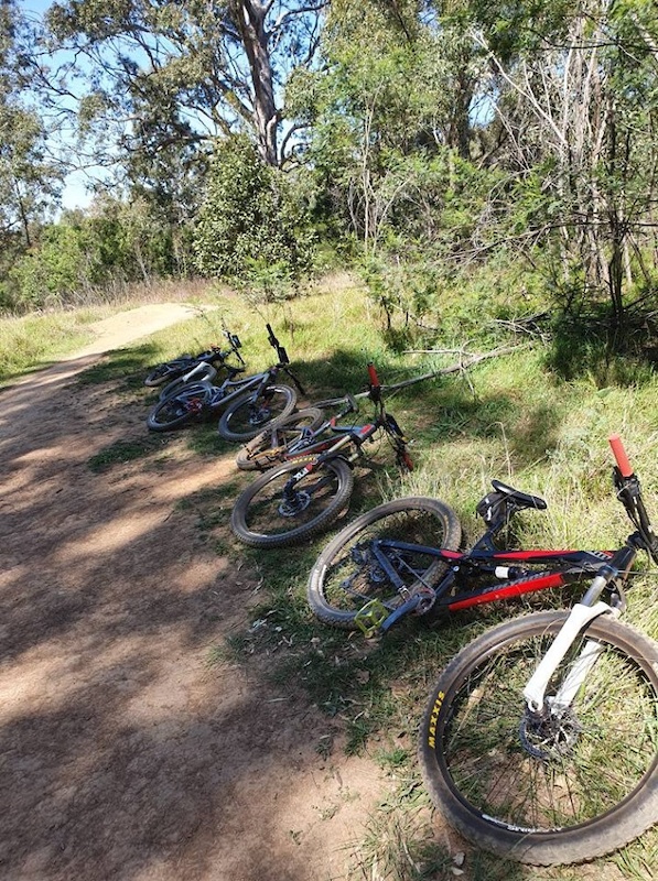 wylde mountain bike trail