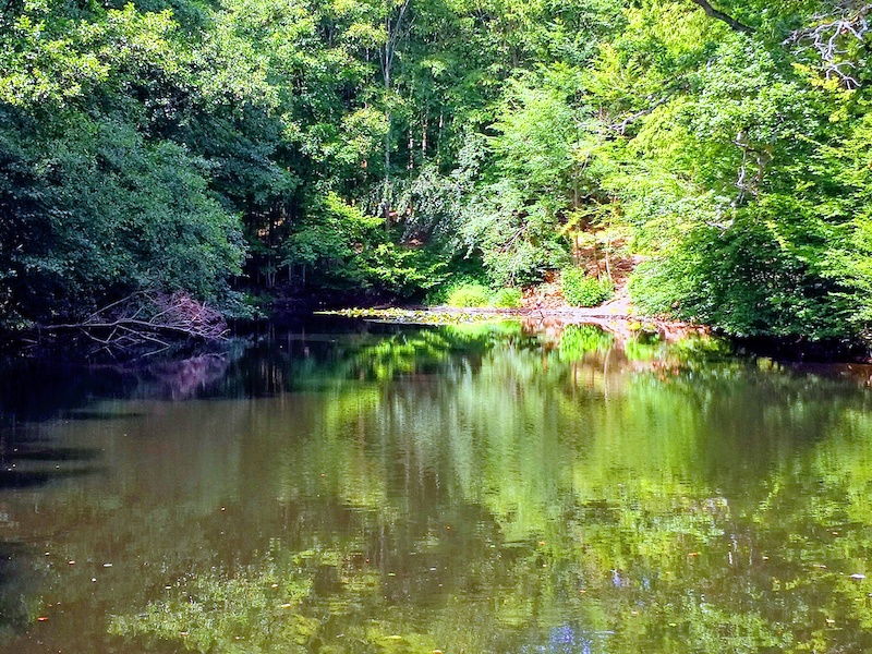 Platte Zugang Multi Trail Platte - P4pb17920970 