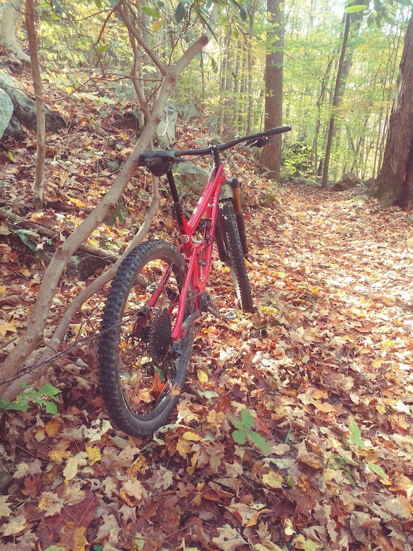 Hawks Nest Connector Mountain Biking Trail - Fayetteville