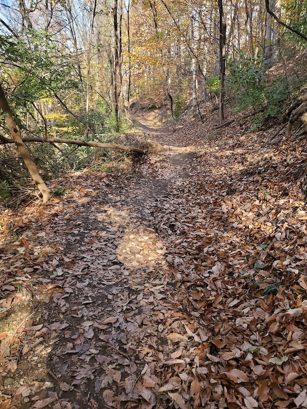 B Trail Mountain Biking Trail Ephrata, Pennsylvania