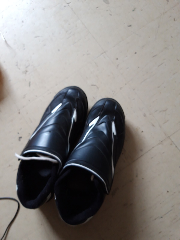 shimano am41
