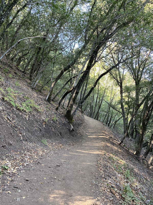 Mt Umunhum Multi Trail Los Gatos, California