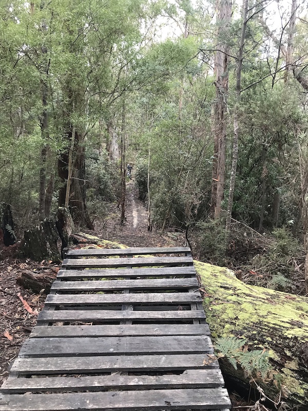 Old farm descent Mountain Biking Trail Hobart
