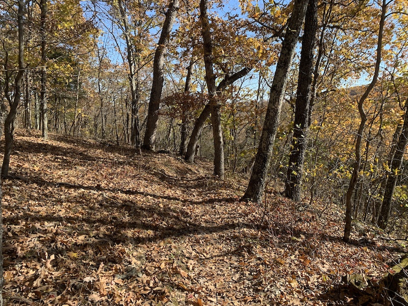 Beulah Mountain Biking Trail Wildwood, Missouri