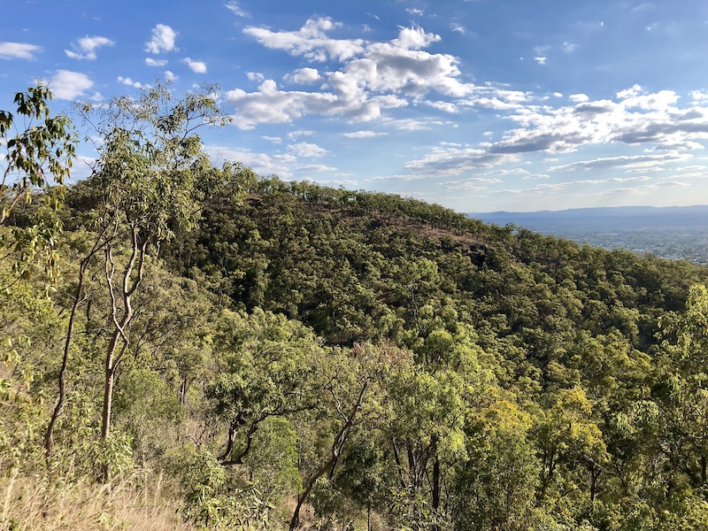 Wundali trail Mountain Biking Trail - Rockhampton