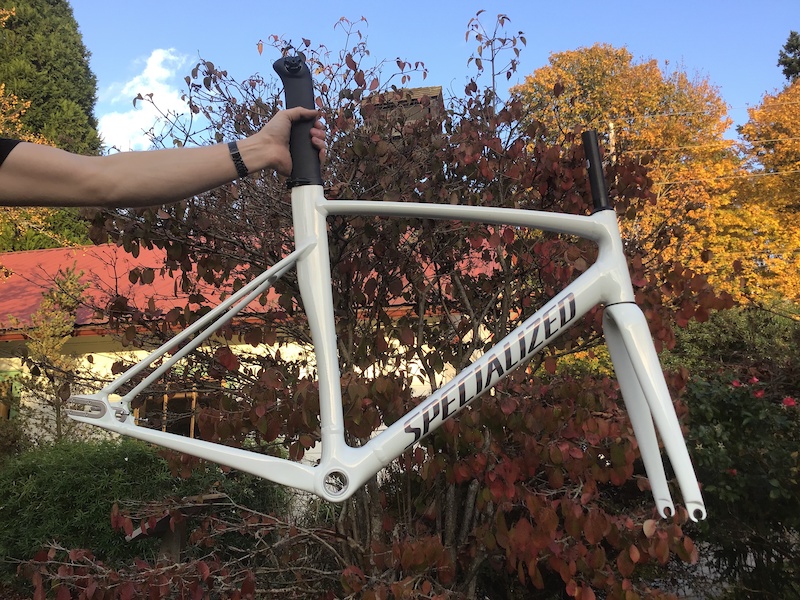 Allez sprint track frameset on sale