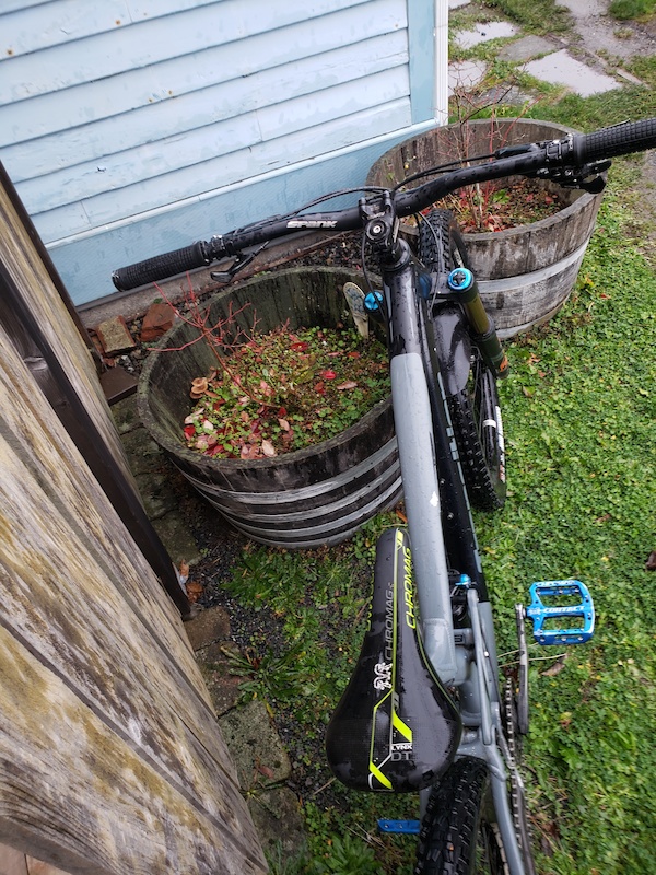 in Lake Stevens, Washington, United States photo by