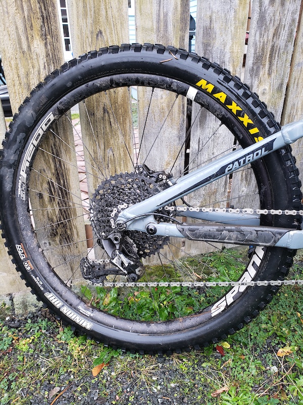 in Lake Stevens, Washington, United States photo by