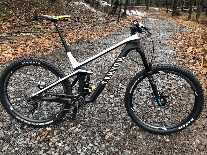 canyon strive 29 2019