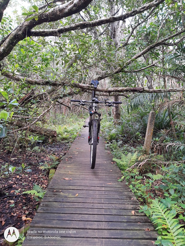 Parque Estadual do Rio Vermelho, Florianópolis Mountain Biking Trails Trailforks Parque Estadual do Rio Vermelho, Florianópolis Mountain Biking Trails Trailforks