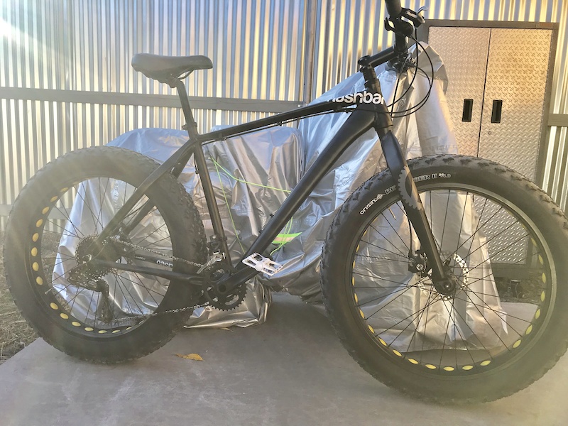 nashbar 29er single speed