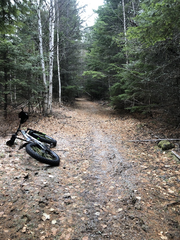 Aspen Alley Mountain Biking Trail Kalispell, MT