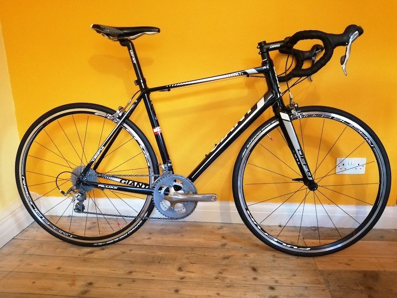 2014 Giant Defy 2 M/L Road Bike, Serviced, Fulcrum Wheels For Sale