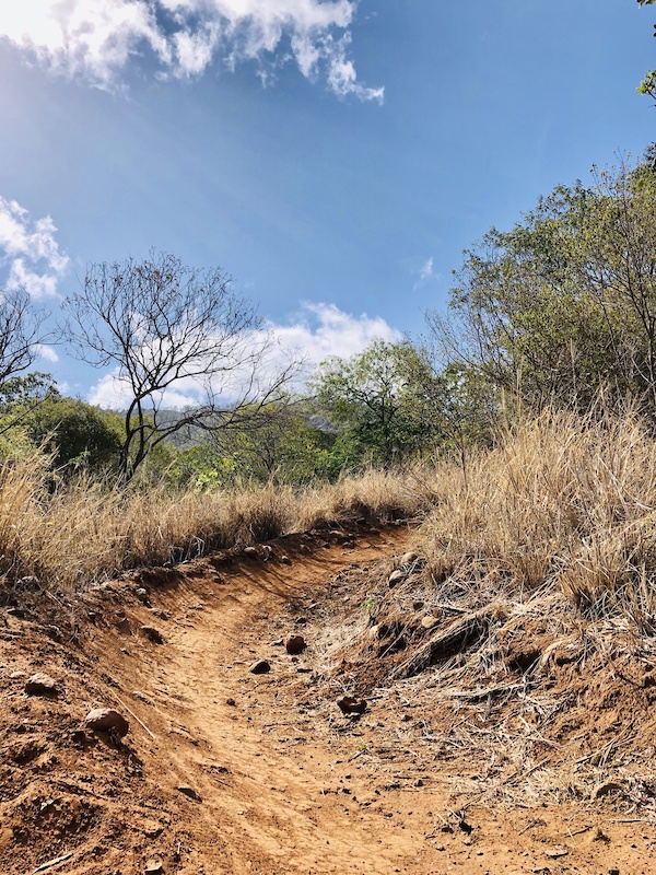 Novice Xc Course Mountain Biking Route Trailforks