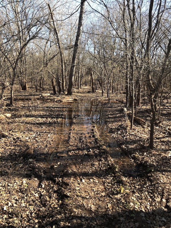Swamp Trail Multi Trail Edmond, Oklahoma Trailforks