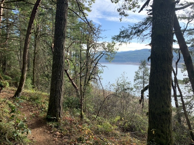 Northshore Trail Mountain Biking Trail - Oakridge, OR