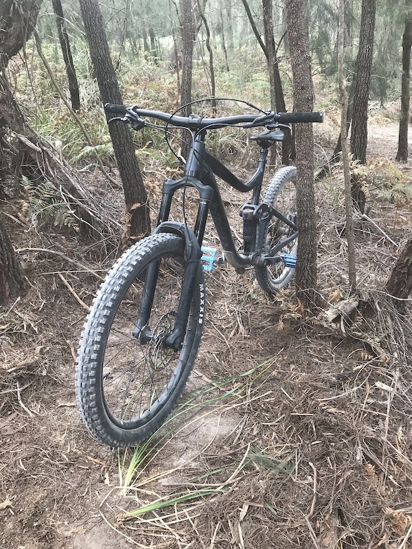 Prickly DH Mountain Biking Trail Launceston