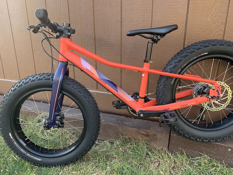 specialized fatboy 20 for sale