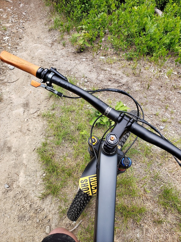 salsa deadwood frame