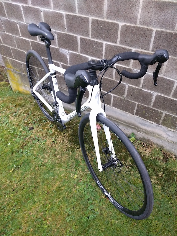 Specialized Ruby Elite Carbon Disc 