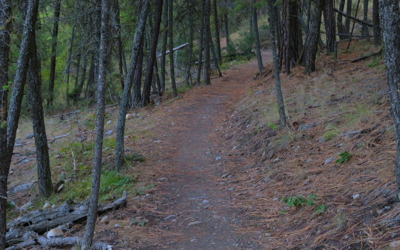 Kettle Loop Mountain Biking Trail Cranbrook, BC