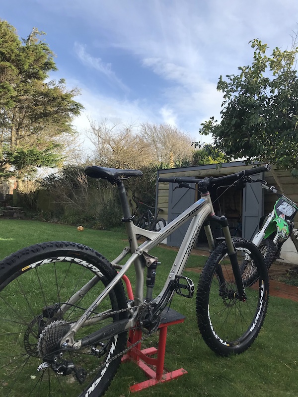 specialized pitch pro